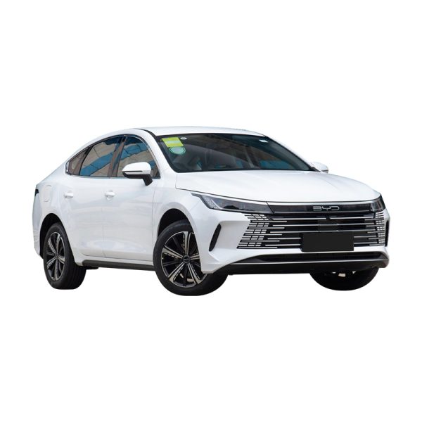 BYD Destroyer 05 - Image 4